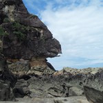 Rock in Bako National Park