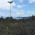 View from the trail in Bako National Park