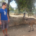 With Emu