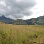 Drakensberg View