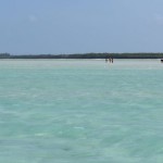 Jambiani beach